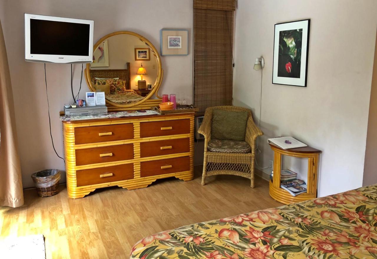King Room with Garden View