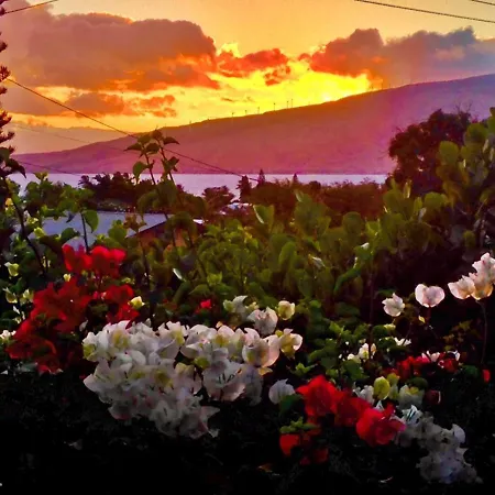 Ocean Breeze Hideaway-2